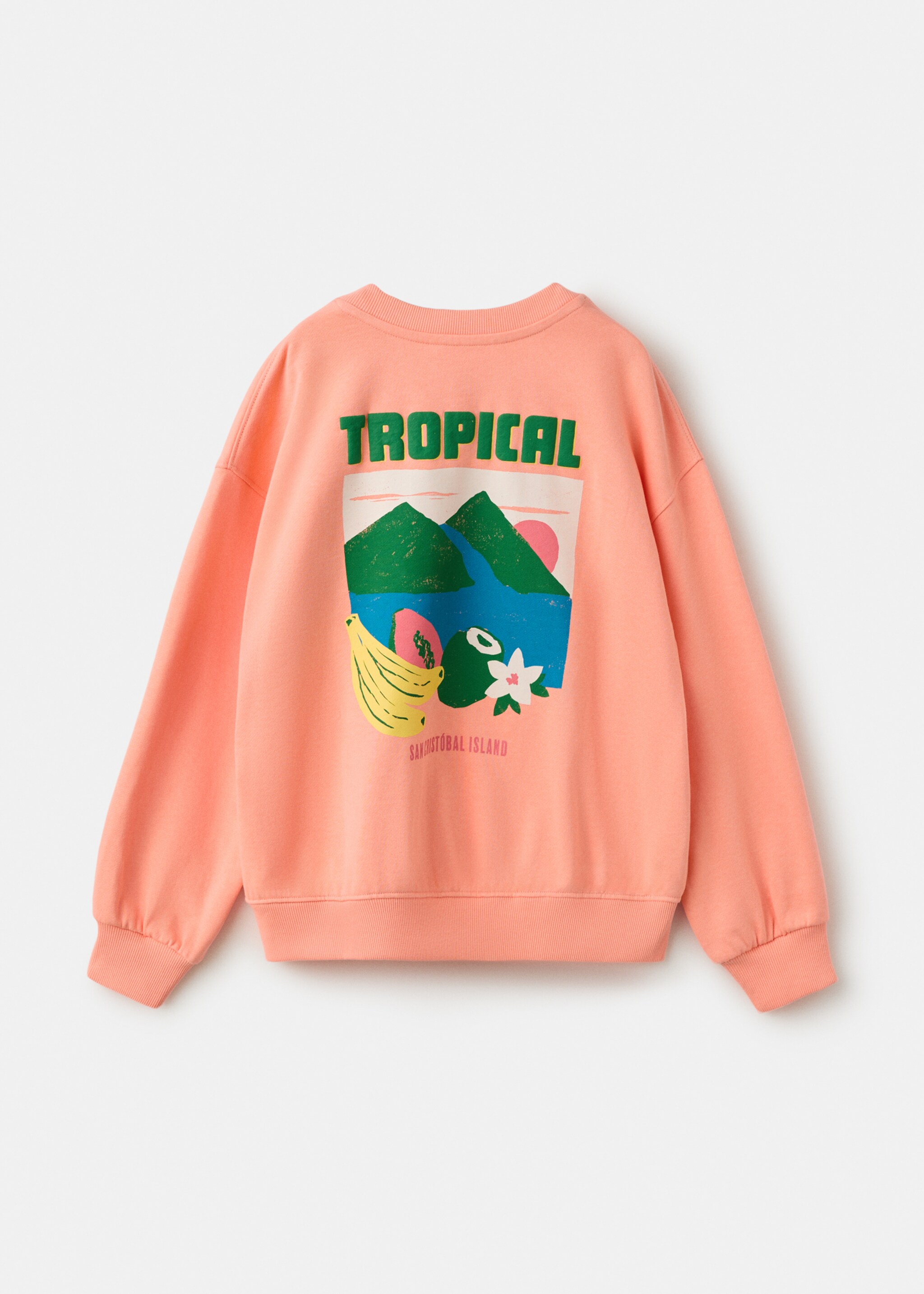 Printed cotton sweatshirt - Reverse of the article, Clementine. Ref: 27087909-00.