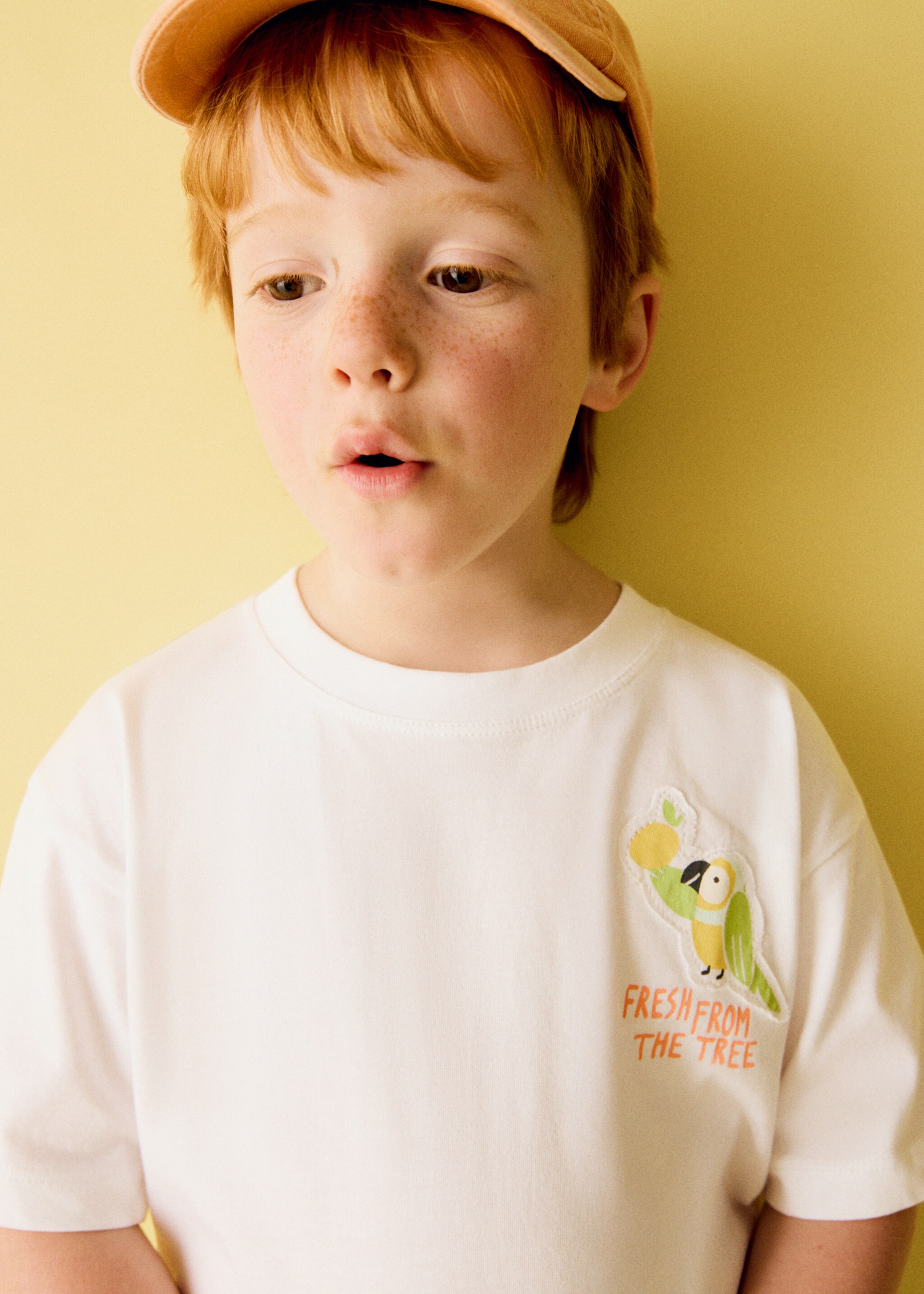 Embroidered detail cotton T-shirt - General plane, White. Ref: 27007927-00.