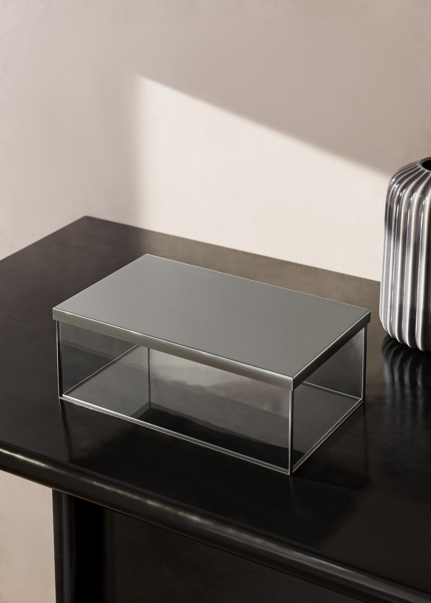 Large glass box with metal contrast - General plane