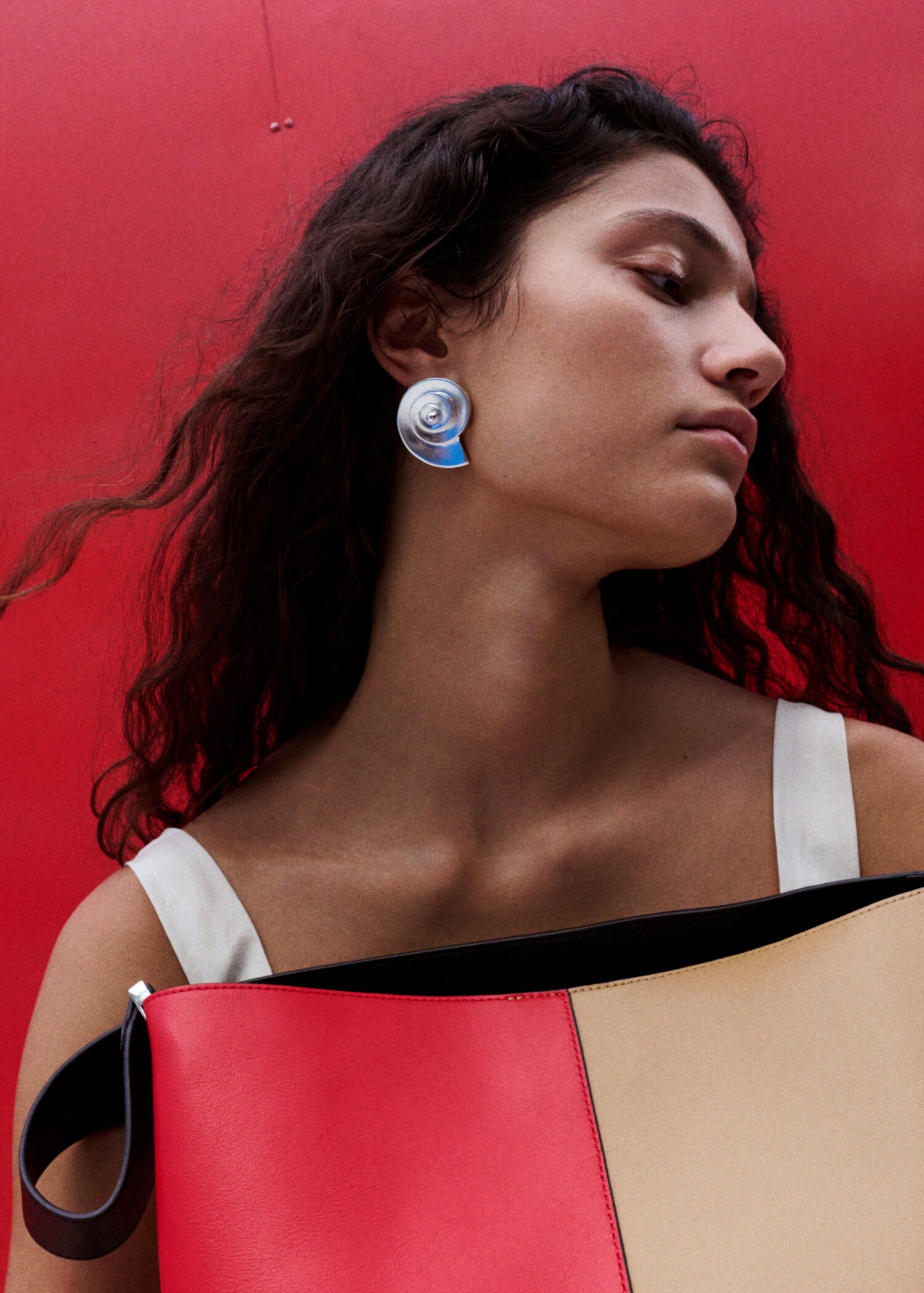 Arracades petxina - Pla general