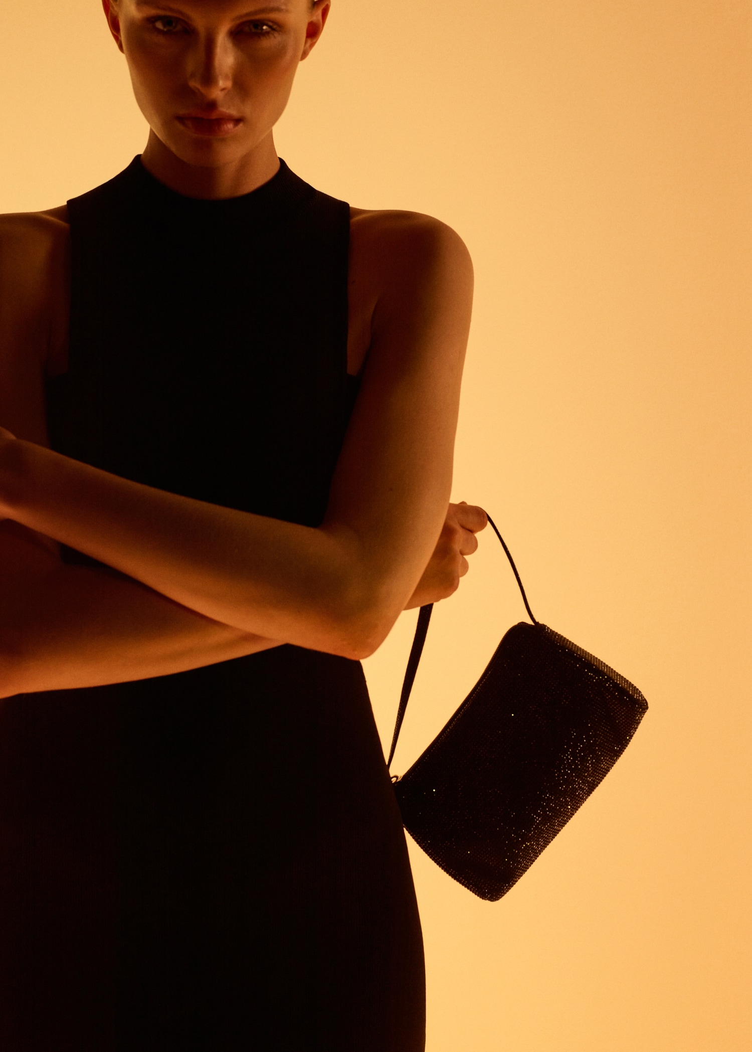 Geantă de mână cu strasuri - Plan general