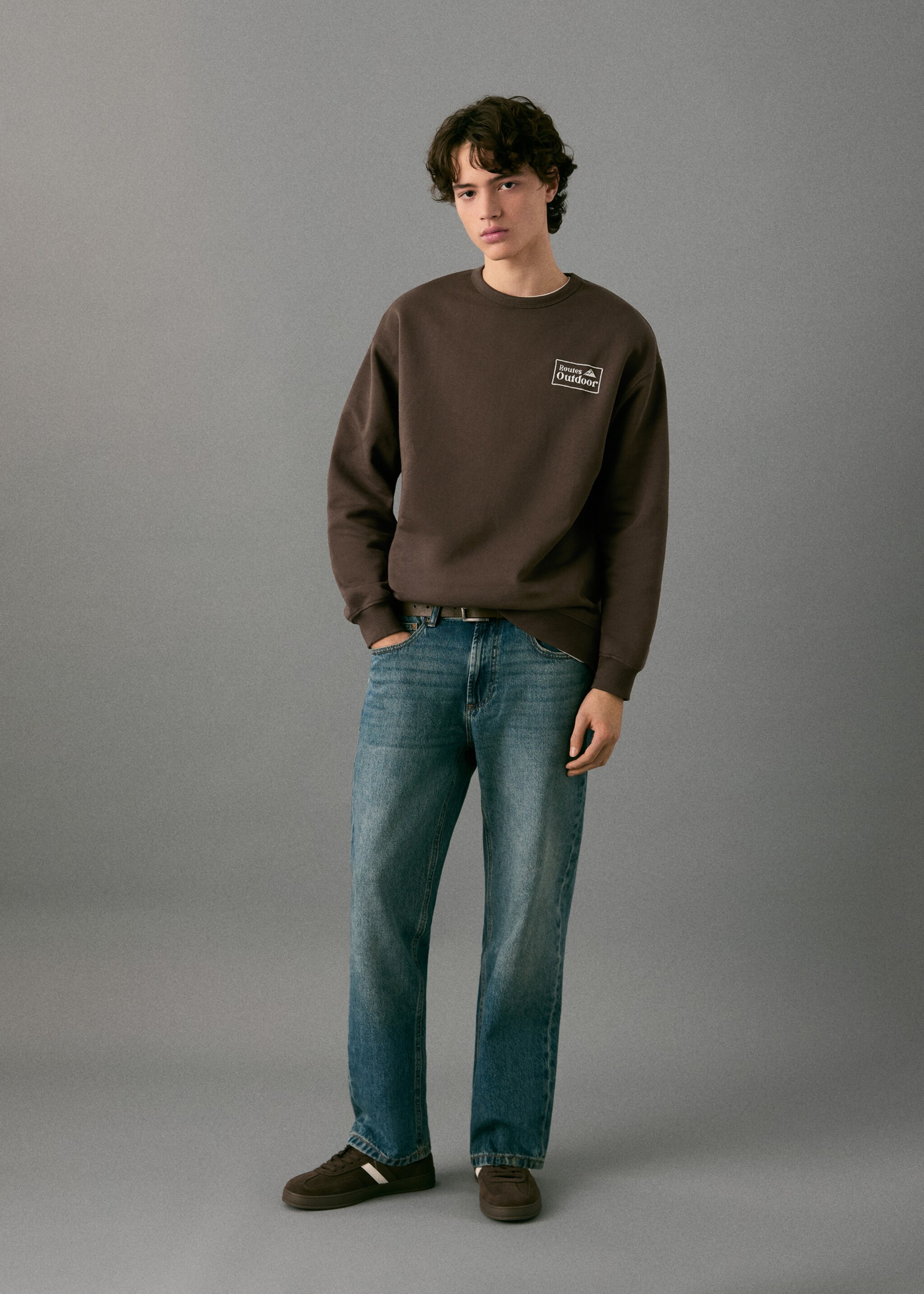 Embroidered cotton sweatshirt - General plane, Brown. Ref: 27031515-00.