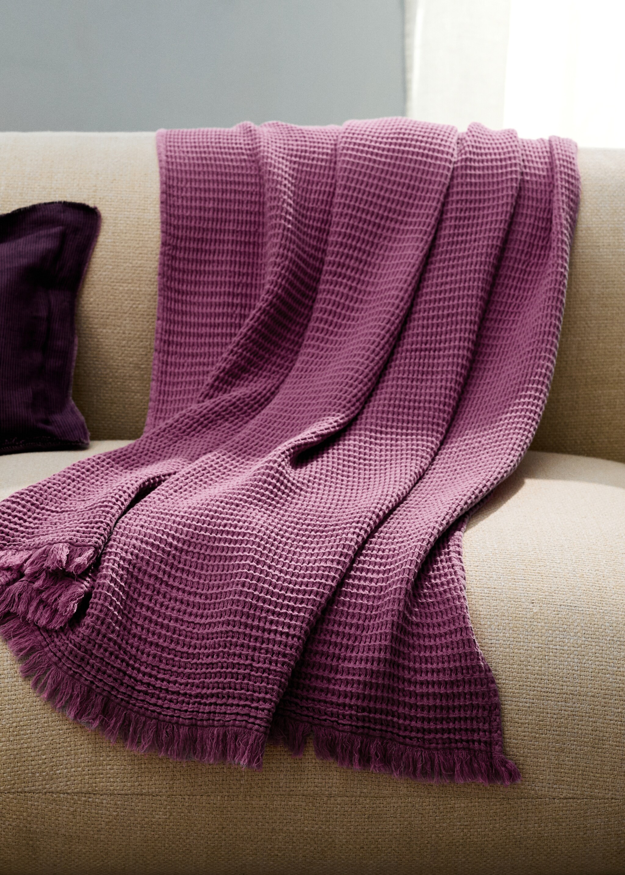 Cotton waffle blanket with fringed finish - General plane, Pink. Ref: 27061517-00.