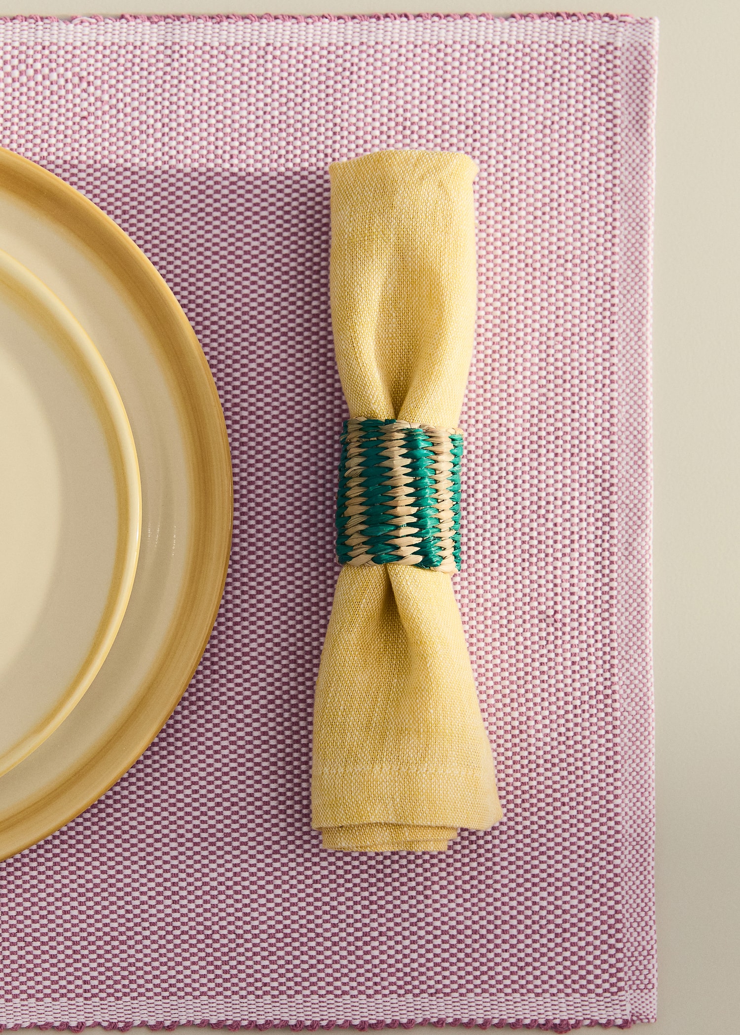 Colorful seagrass napkin ring set - General plane