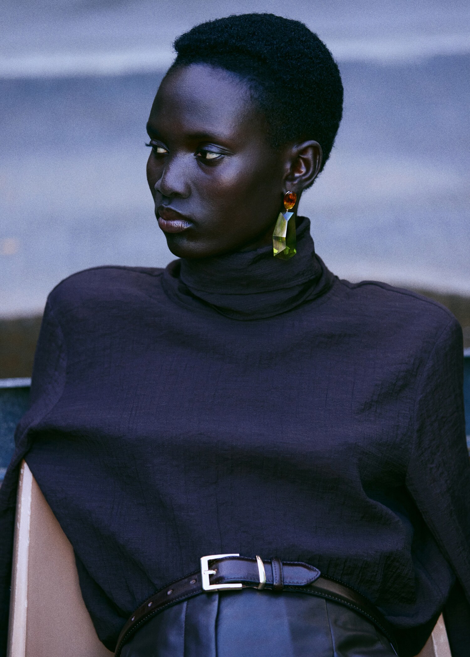 Mixed resin earrings - General plane