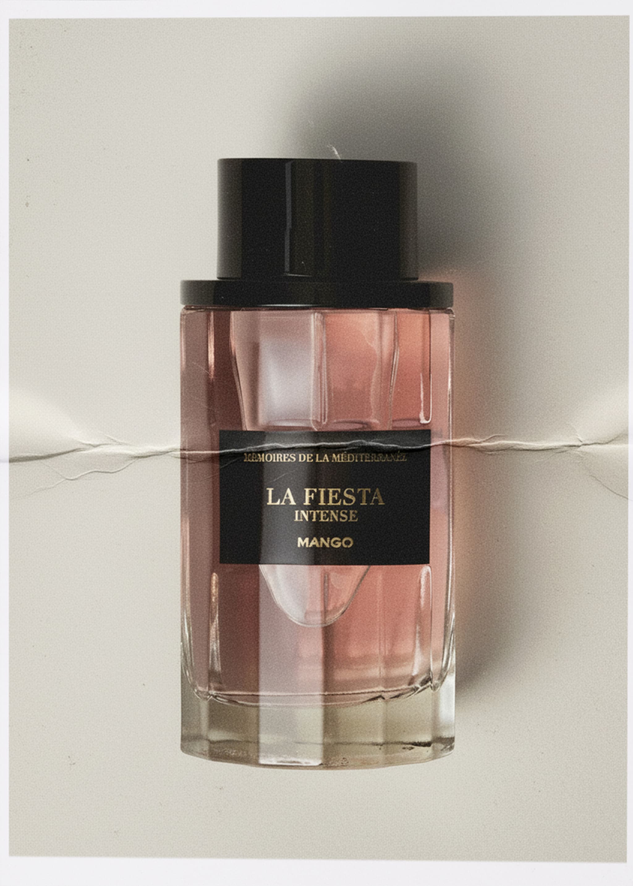 La Fiesta intense fragrance 100 ml - General plane, Mink Grey. Ref: 27126001-00.