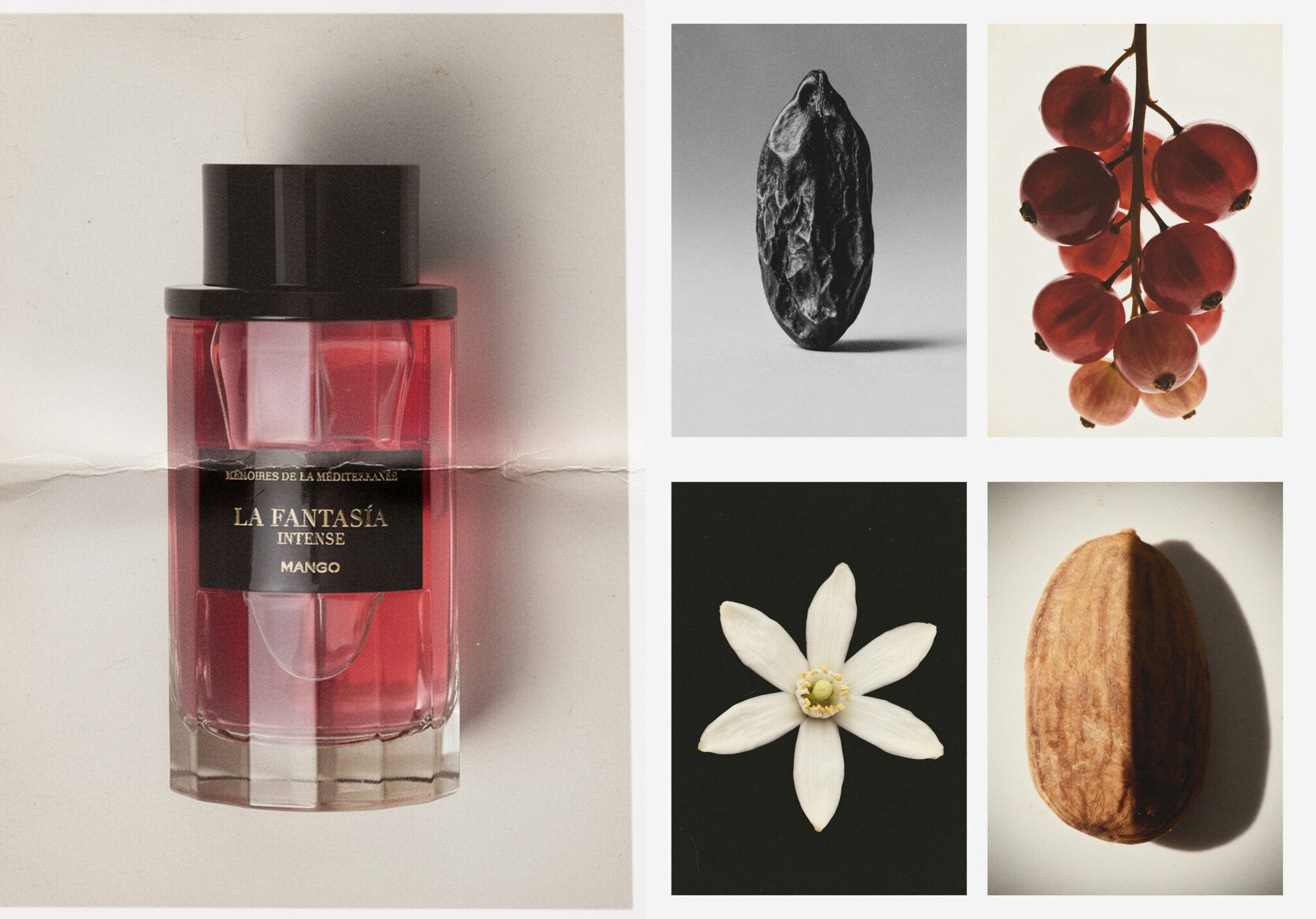 Parfum La Fantasía Intense 100 ml - Plan panoramique