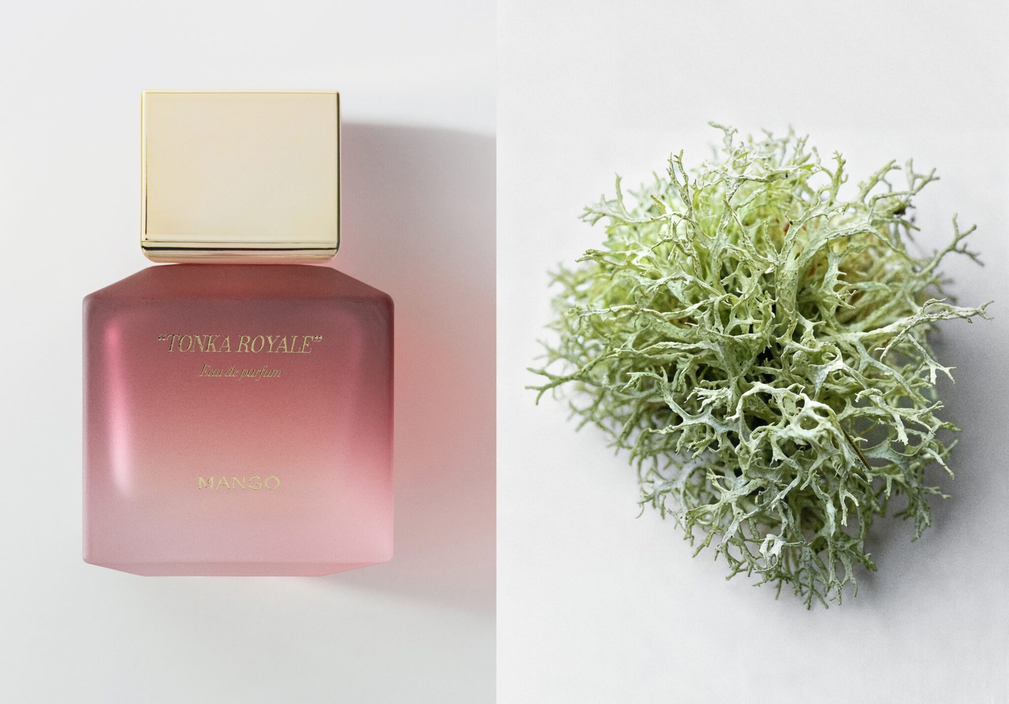 Parfum Tonka Royale 80 ml - Plan panoramique