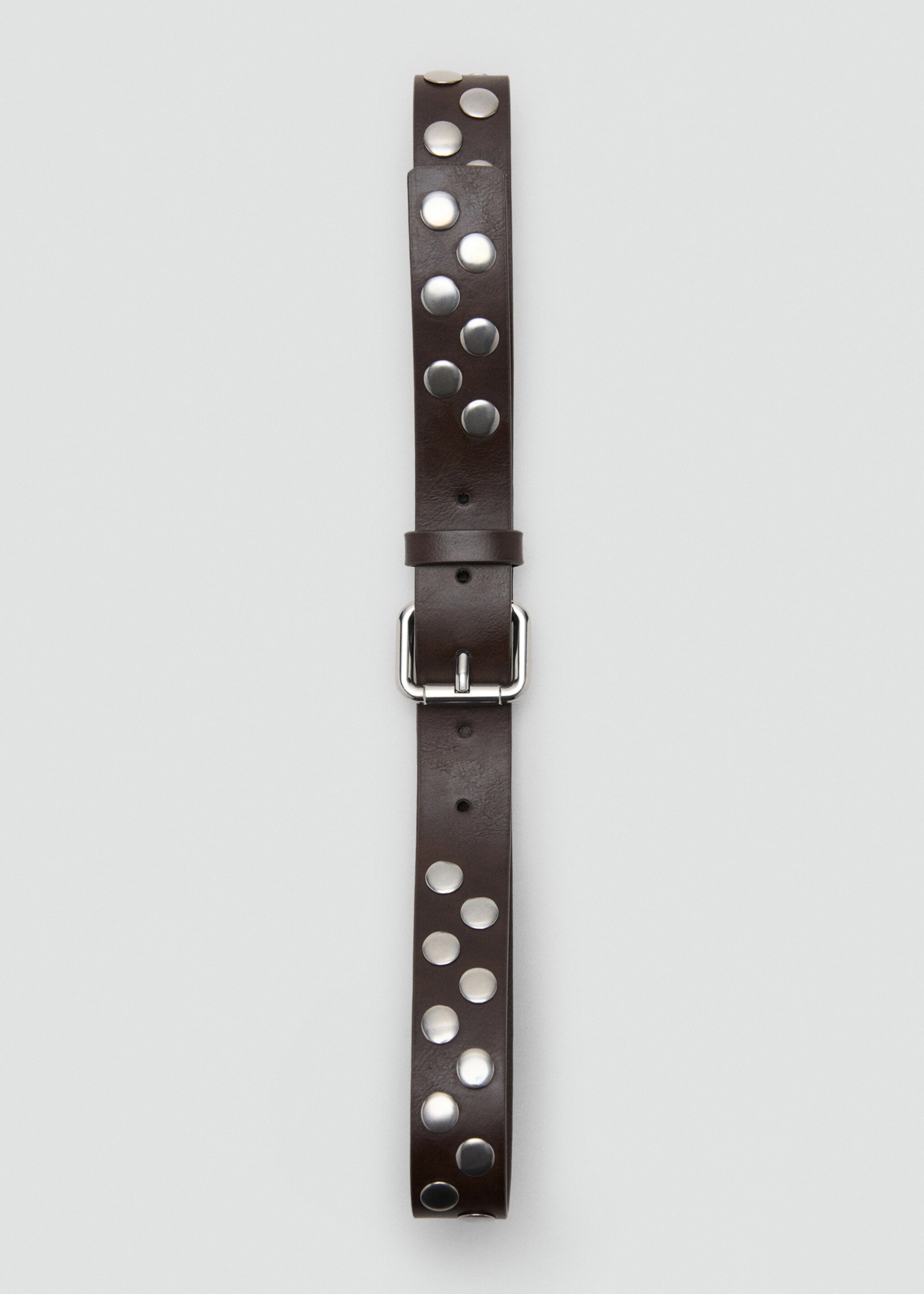 Studded belt - Details of the article 1, Chocolate. Ref: 27011213-01.