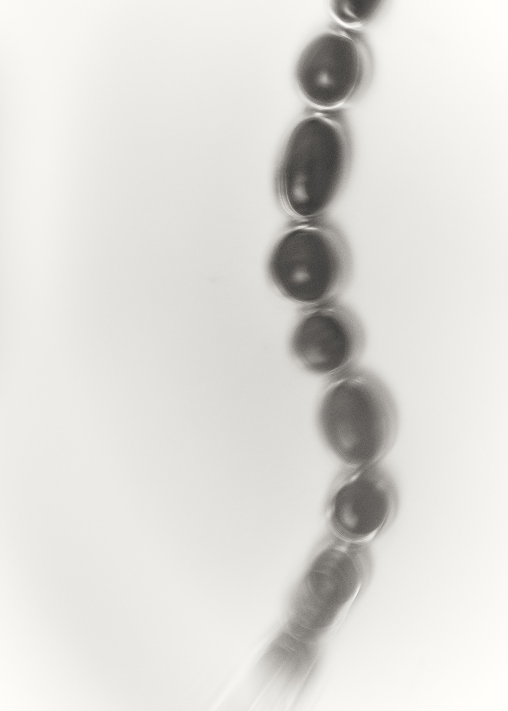 Combined-resin bead necklace