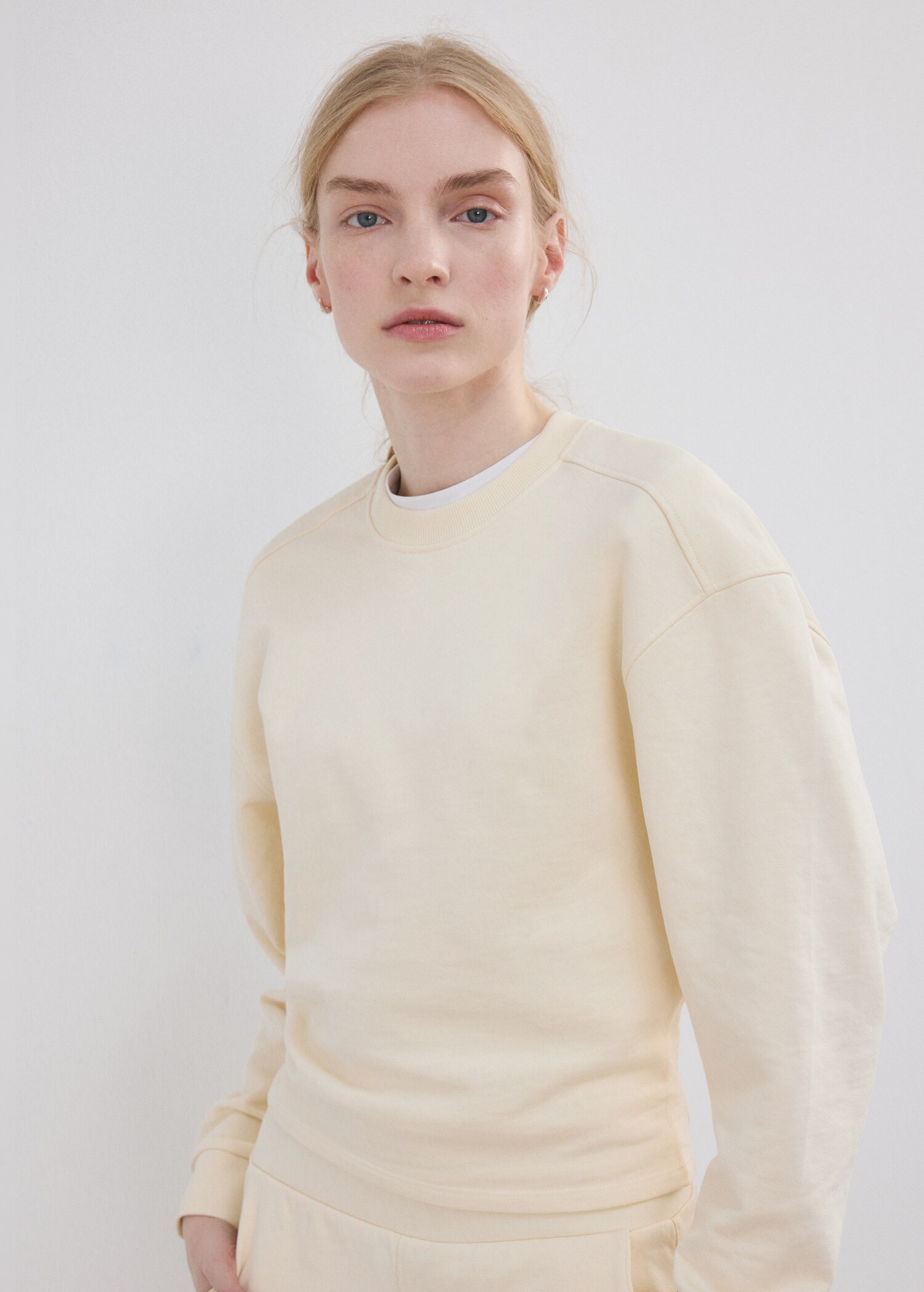 Round-neck cotton sweatshirt - Medium plane
