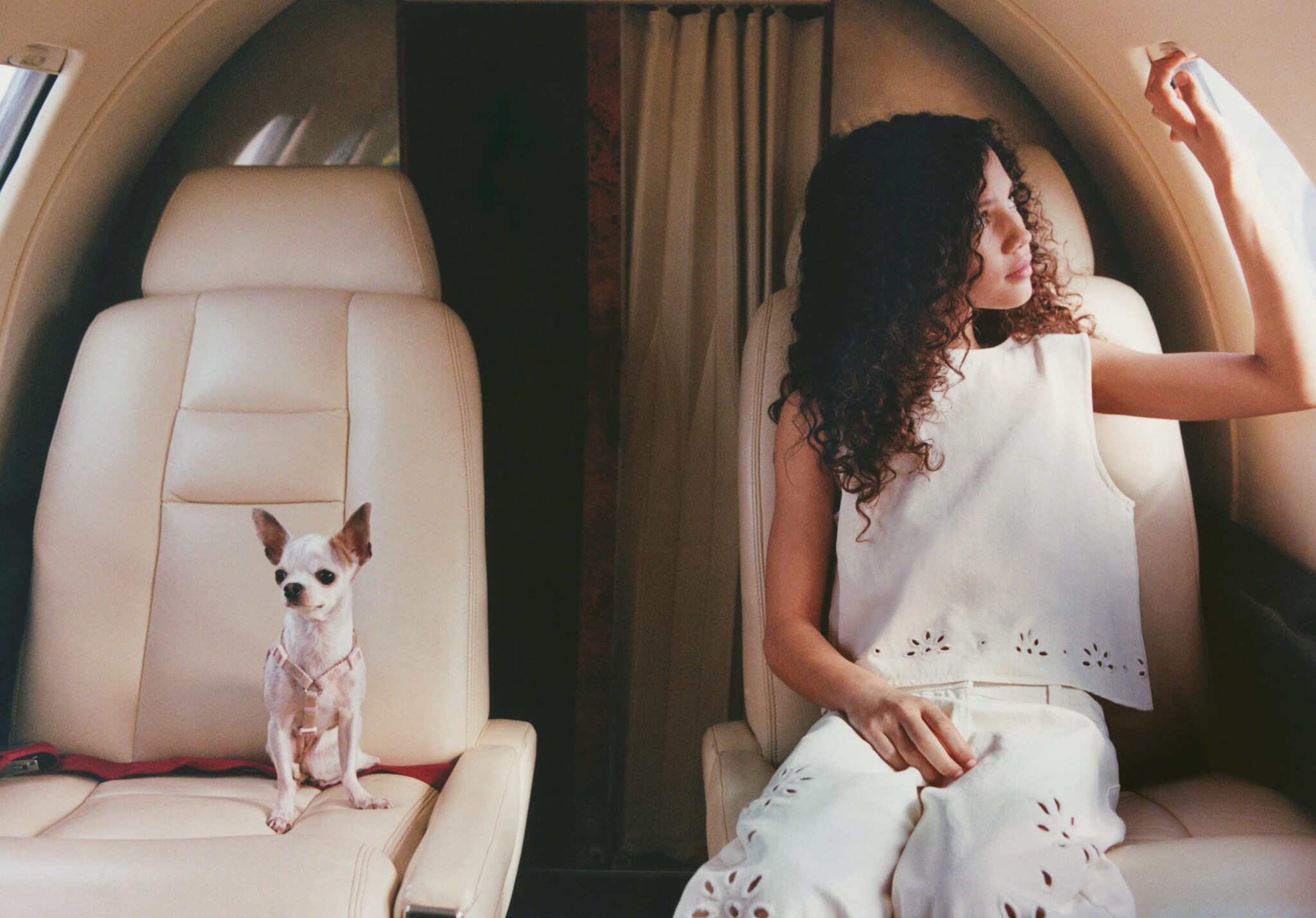 Embroidered cotton blouse - Panoramic plane