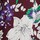 Colour Maroon