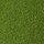 Colour Forest Green selected