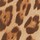 Colour Beige