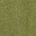Colour Forest Green