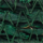 Color Billiard Green selected