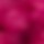 Color Fucsia seleccionado