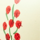 Colour Red selected