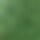 تم اختيار اللون أخضر خفيف