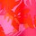 Cor Rosa