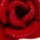 Kleur Rood geselecteerd