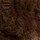 Couleur Chocolat