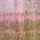 Colour Light/Pastel Purple selected