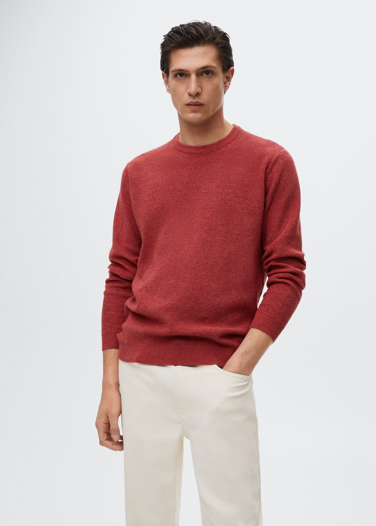 Structured cotton sweater - Medium plane