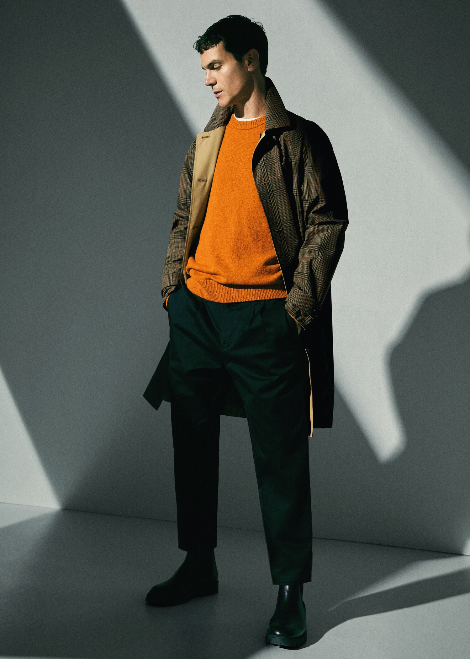 Regular-fit pleated trousers - Details of the article 5