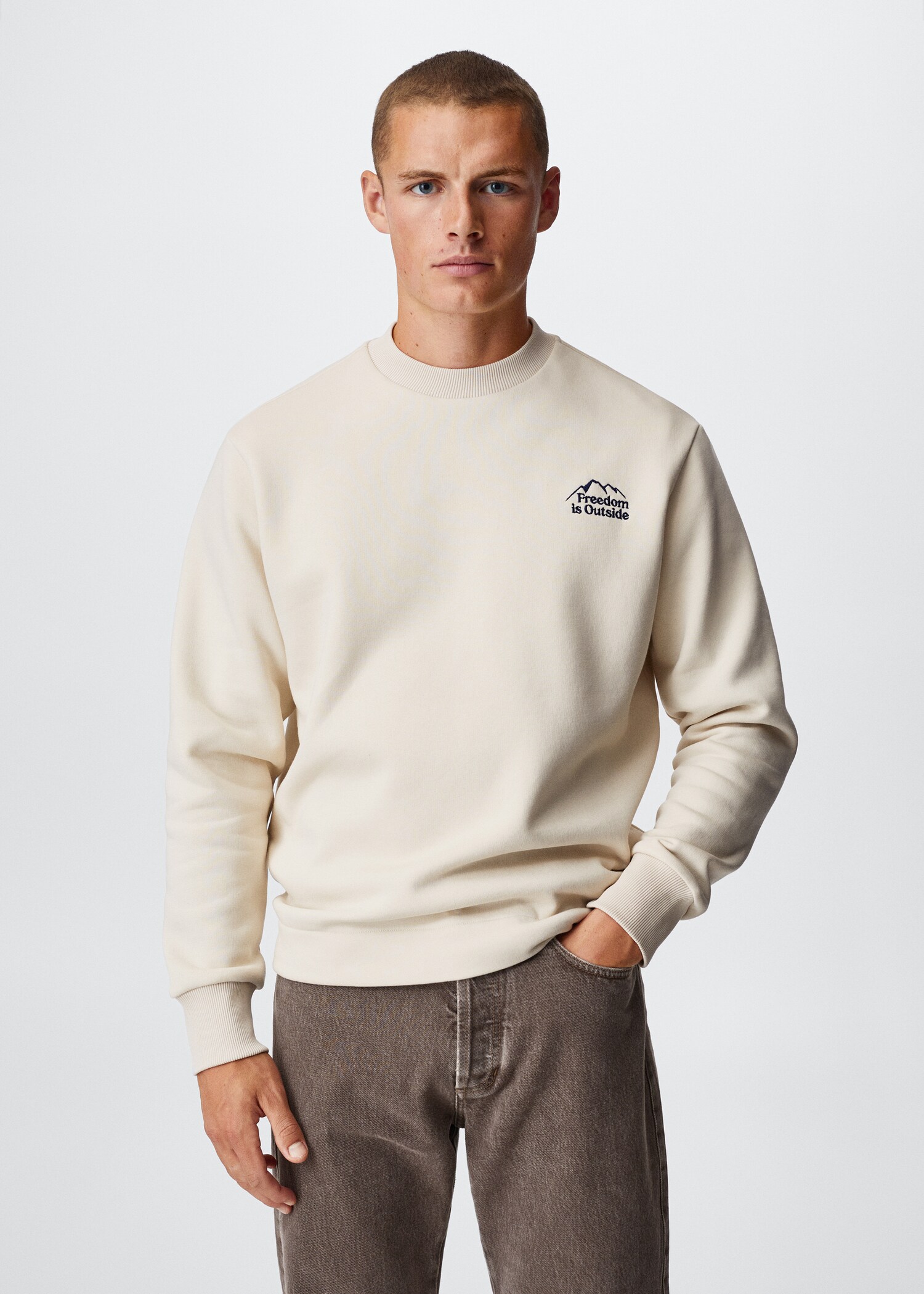 Printed cotton sweatshirt - Medium plane