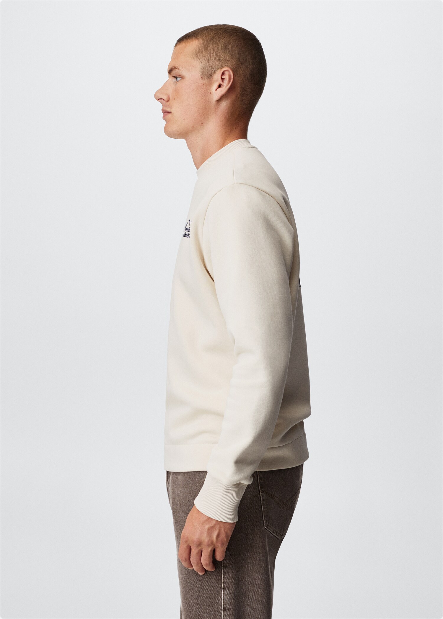 Printed cotton sweatshirt - Details of the article 6