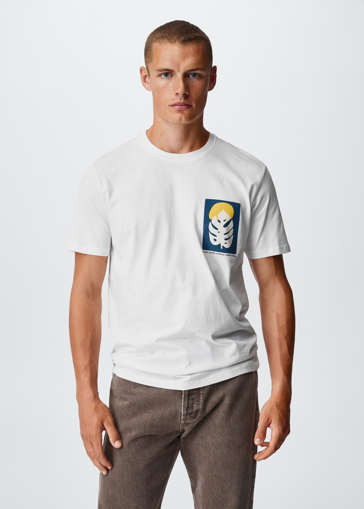 T-shirt estampada algodão - Plano médio