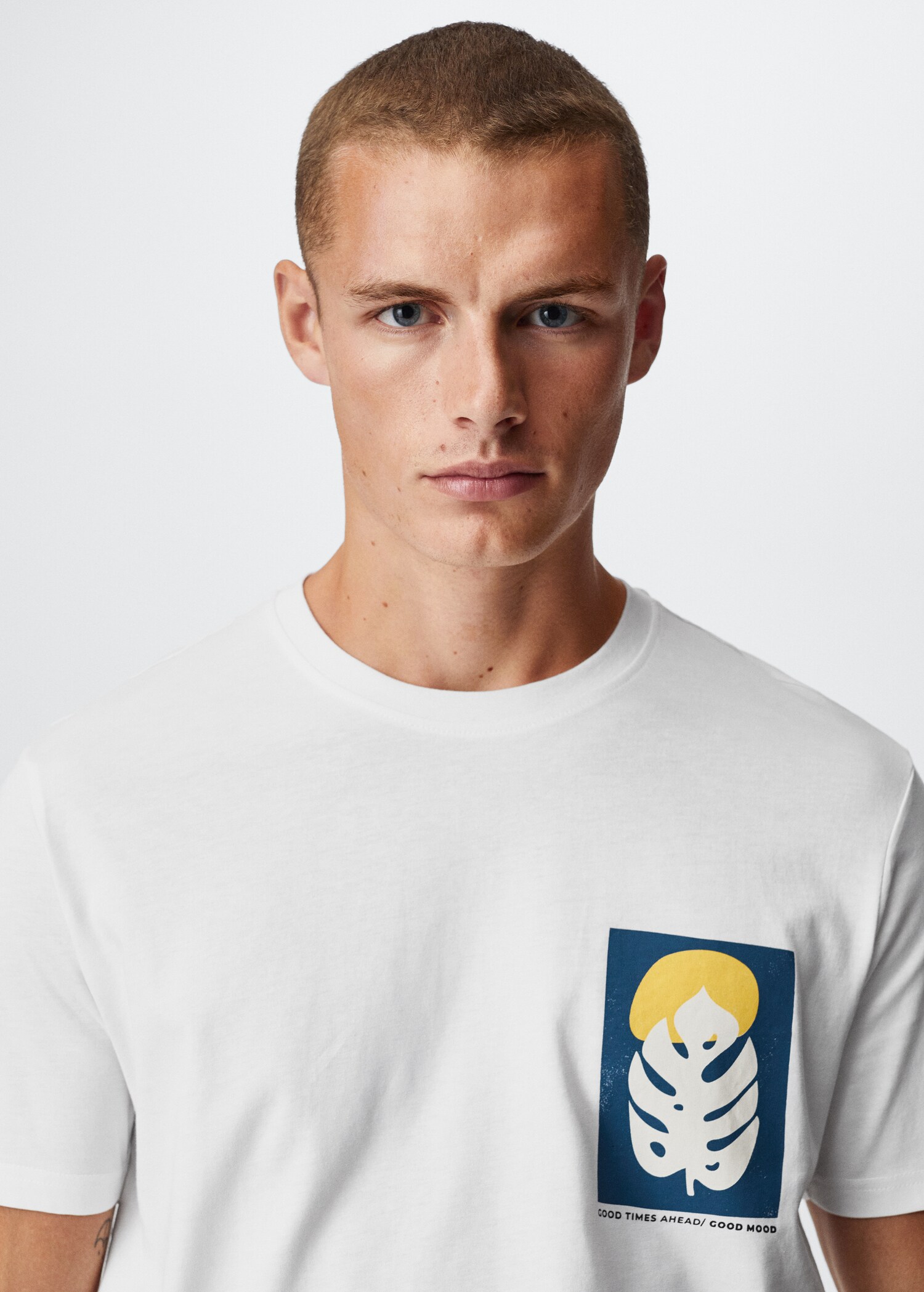T-shirt estampada algodão - Pormenor do artigo 4