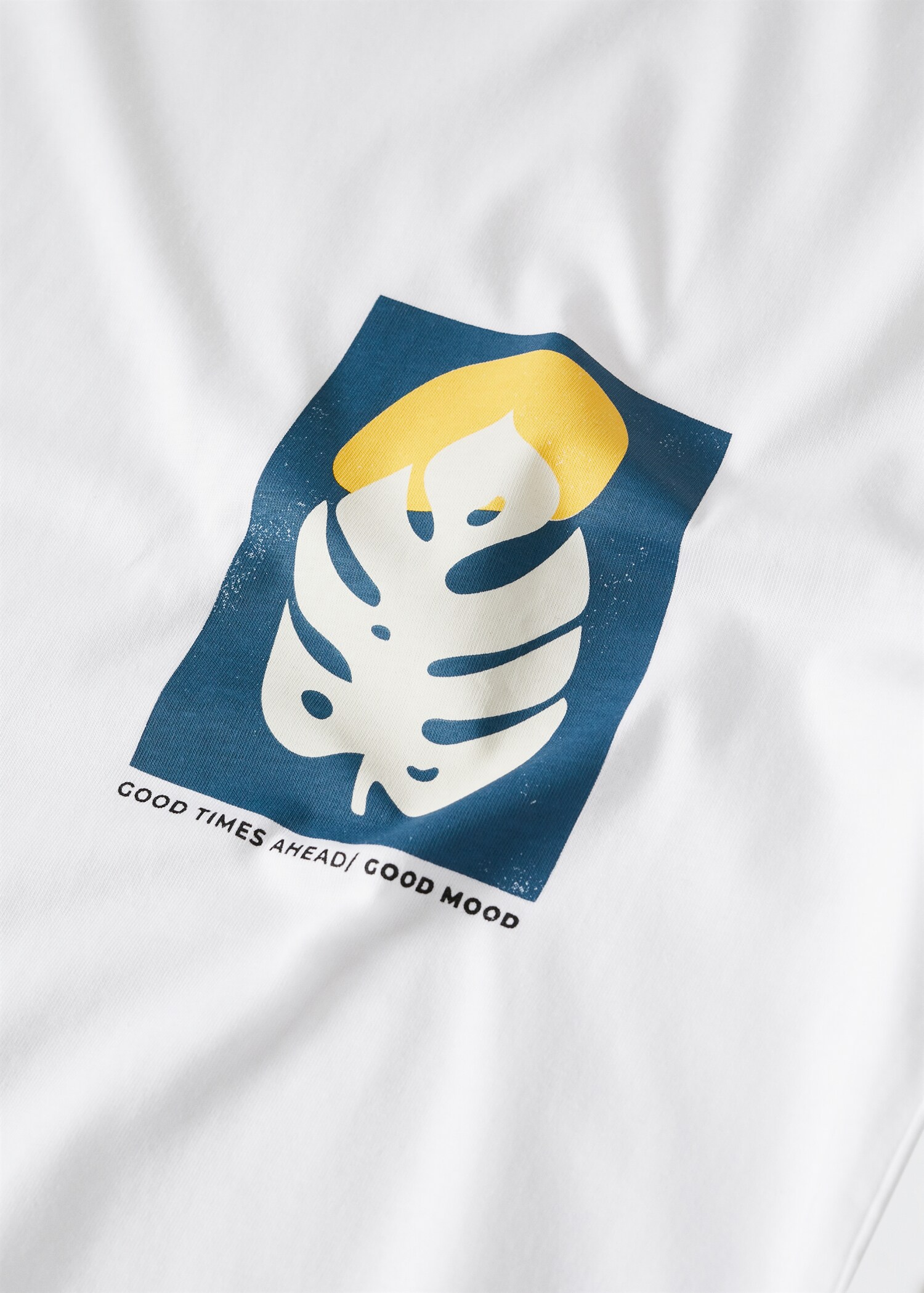 T-shirt estampada algodão - Pormenor do artigo 8