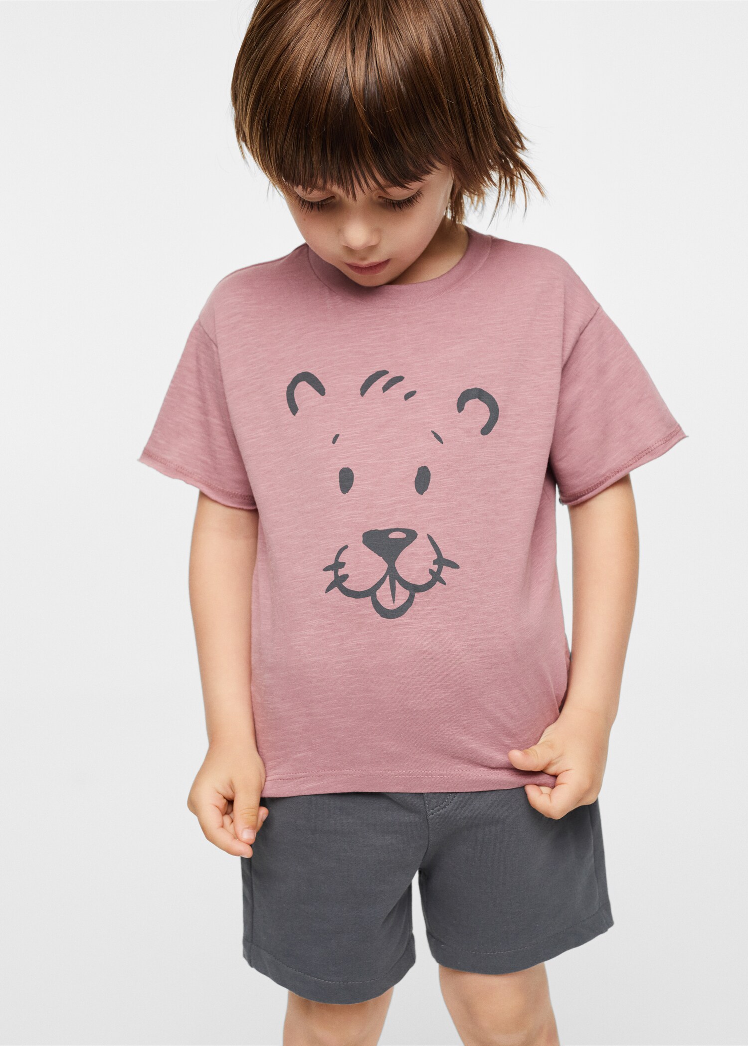 Cotton printed T-shirt - Medium plane