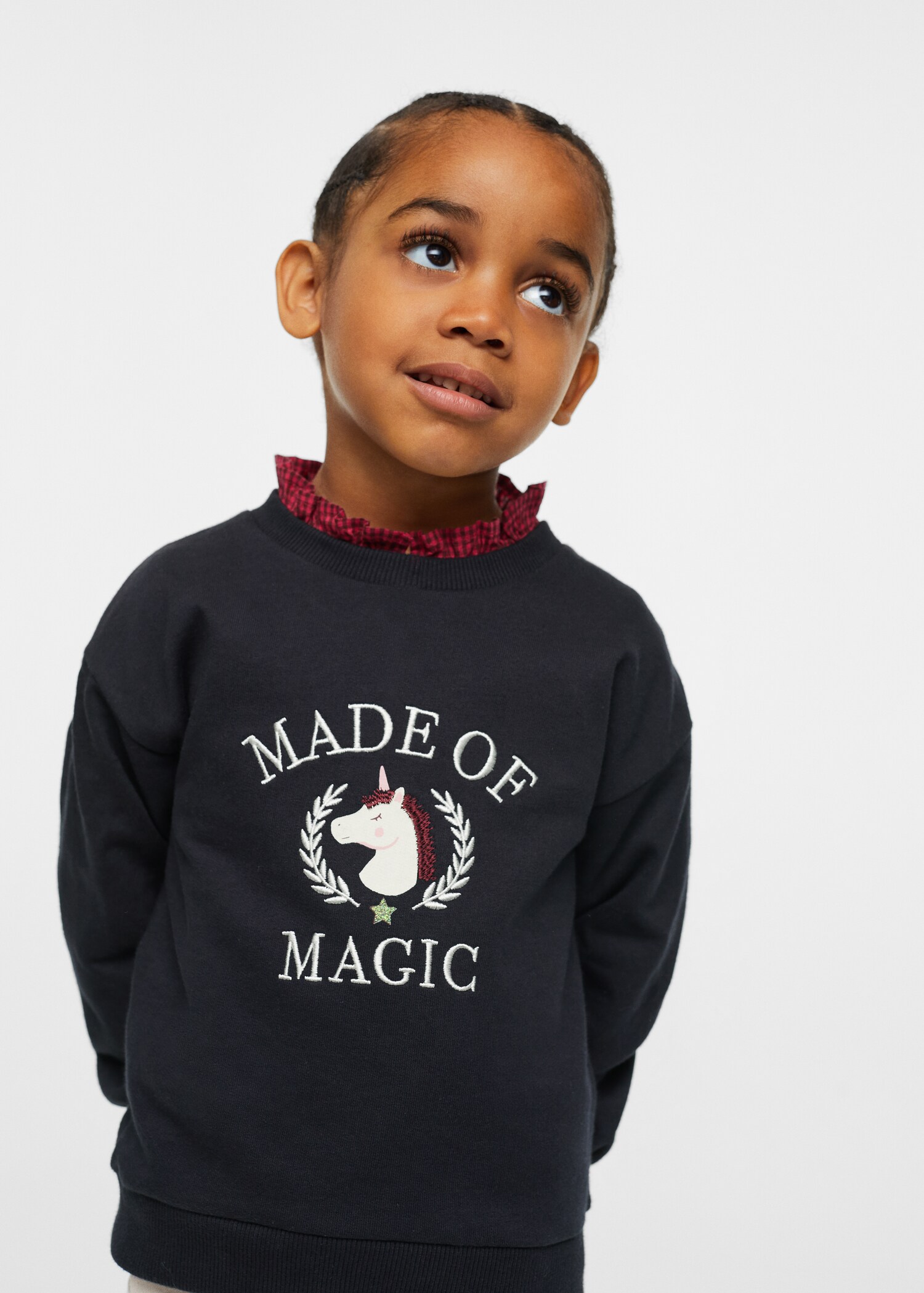Embroidered cotton sweatshirt - Medium plane