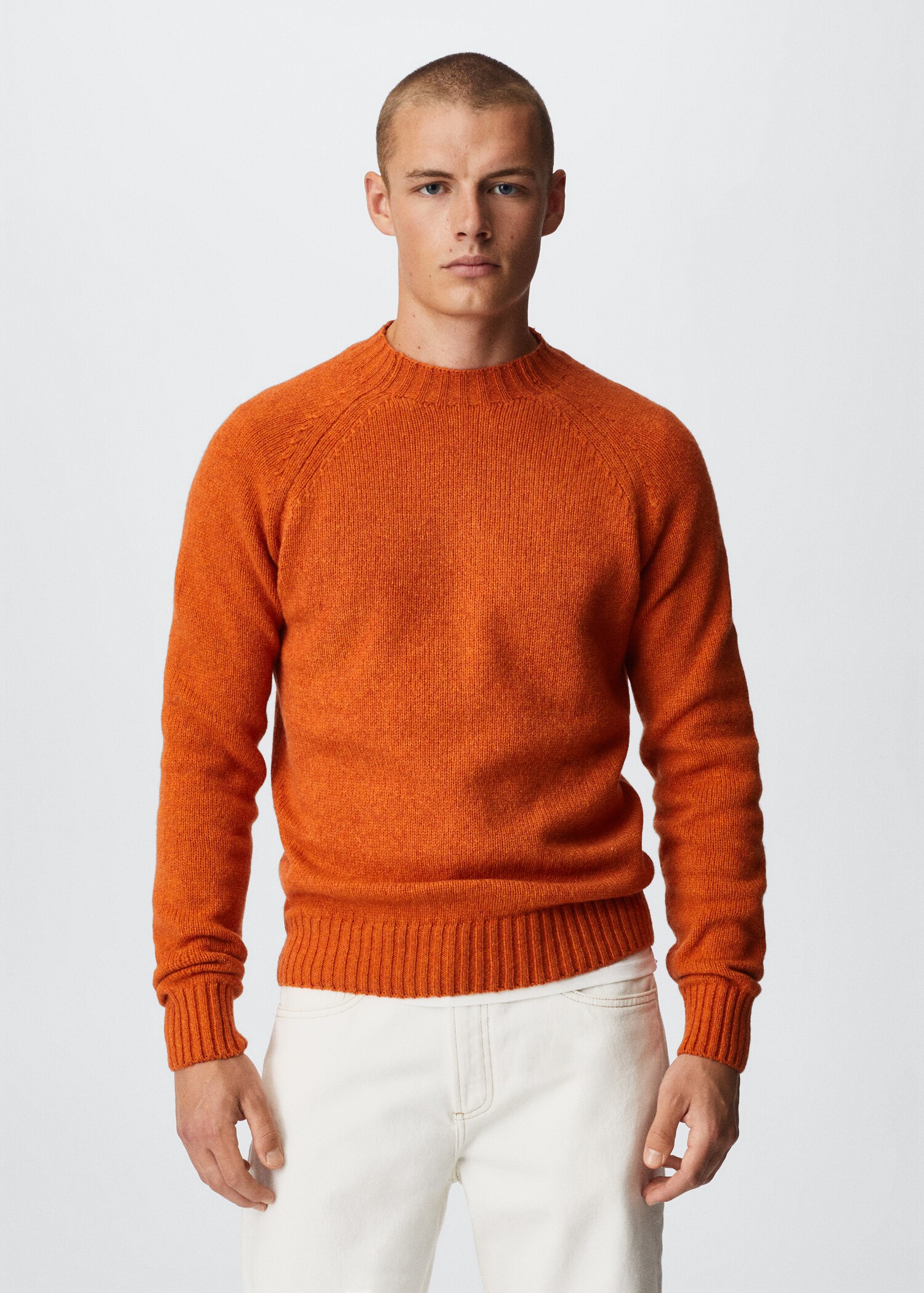 Rounded neck wool sweater - Medium plane
