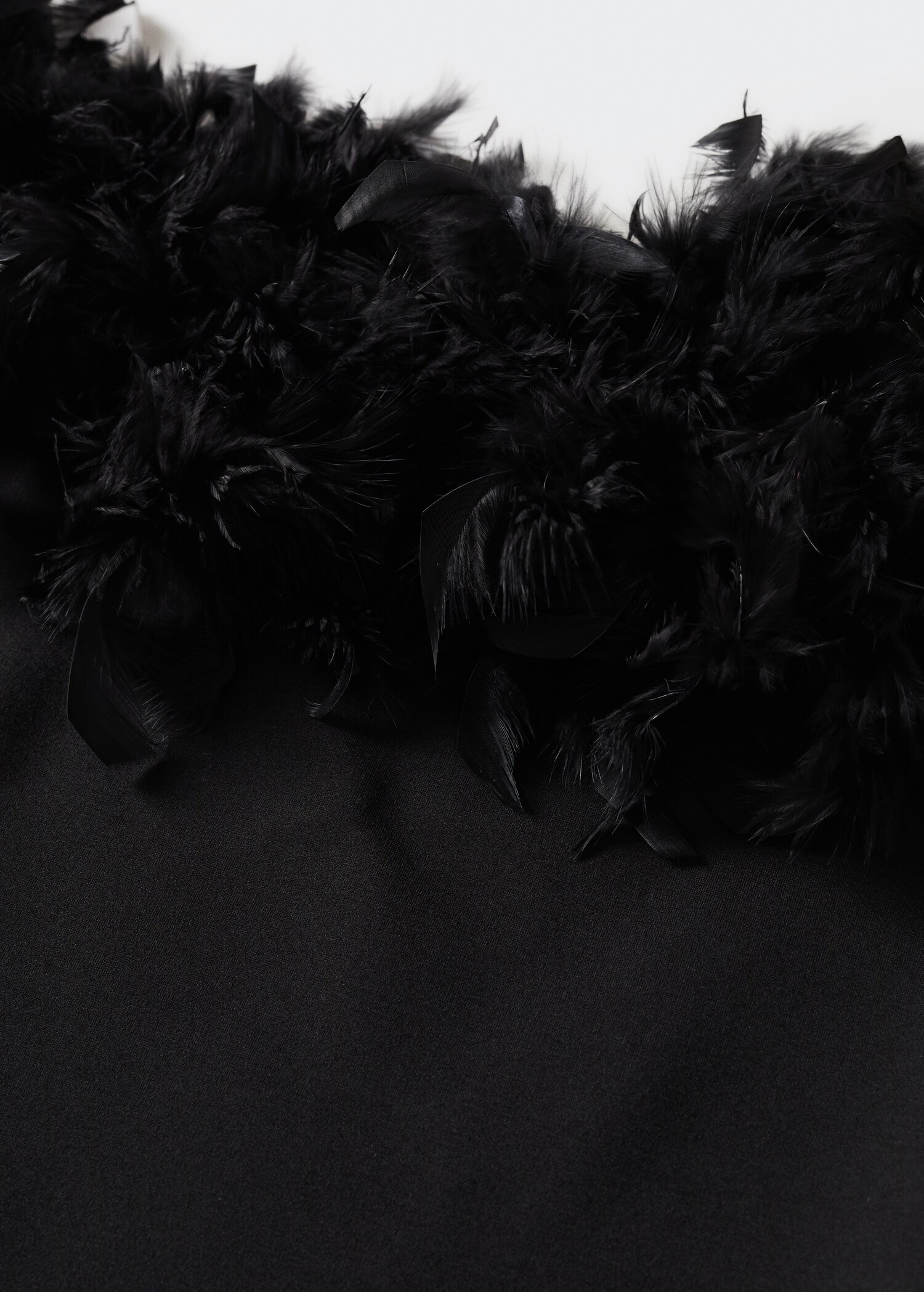 Top plumas - Detalle del artículo 8