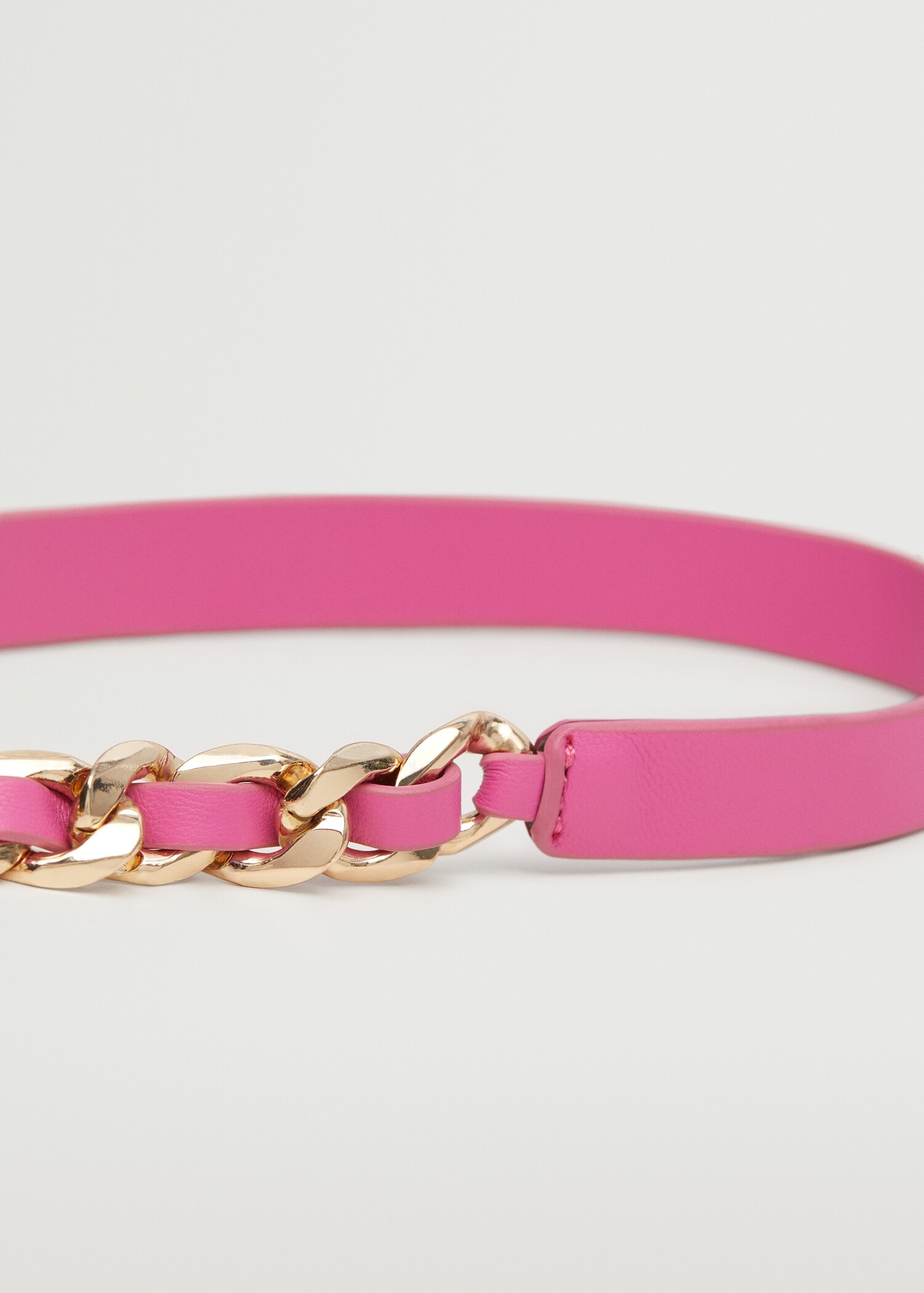 Chain belt - Details of the article 3
