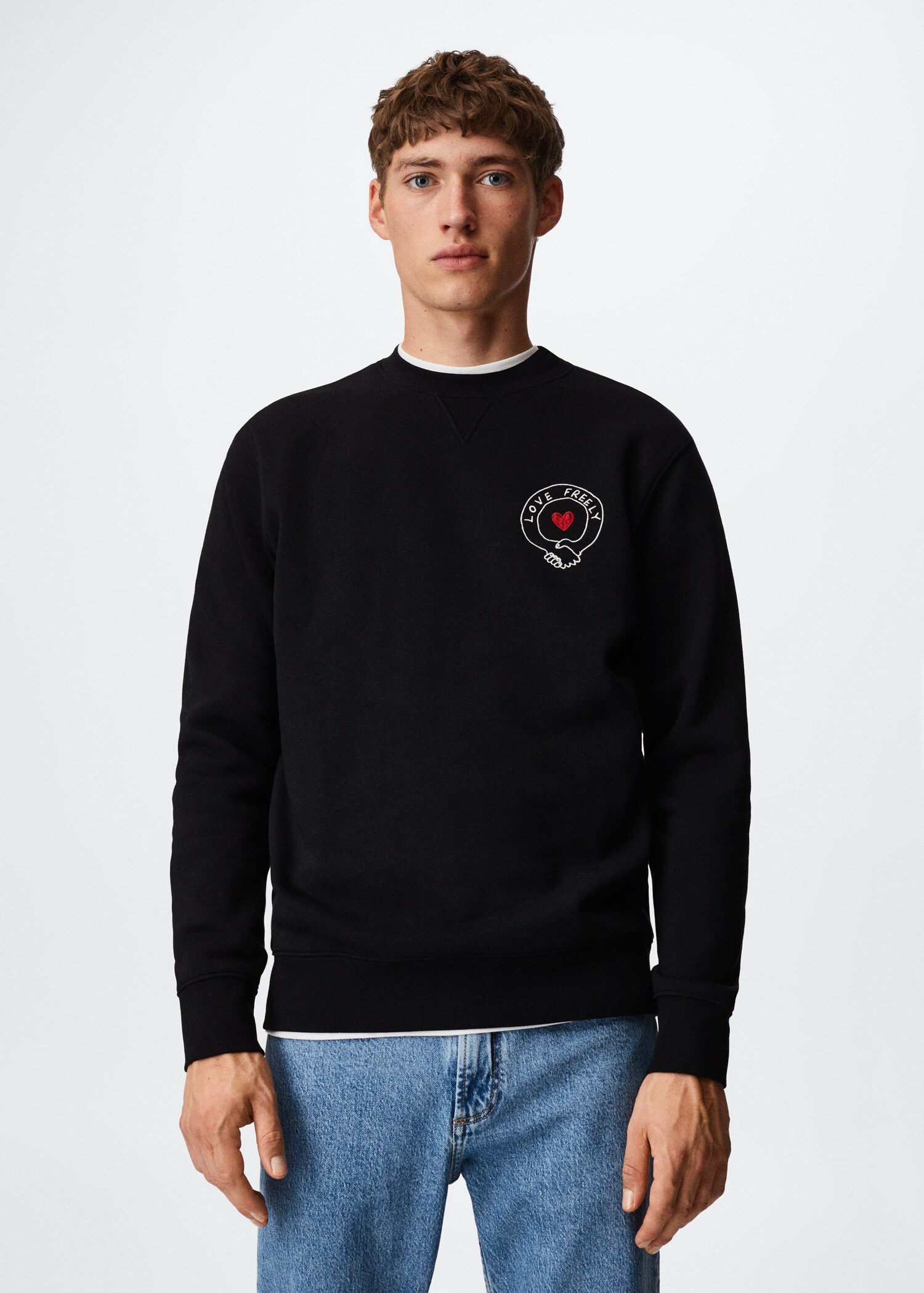 Embroidered cotton sweatshirt - Medium plane