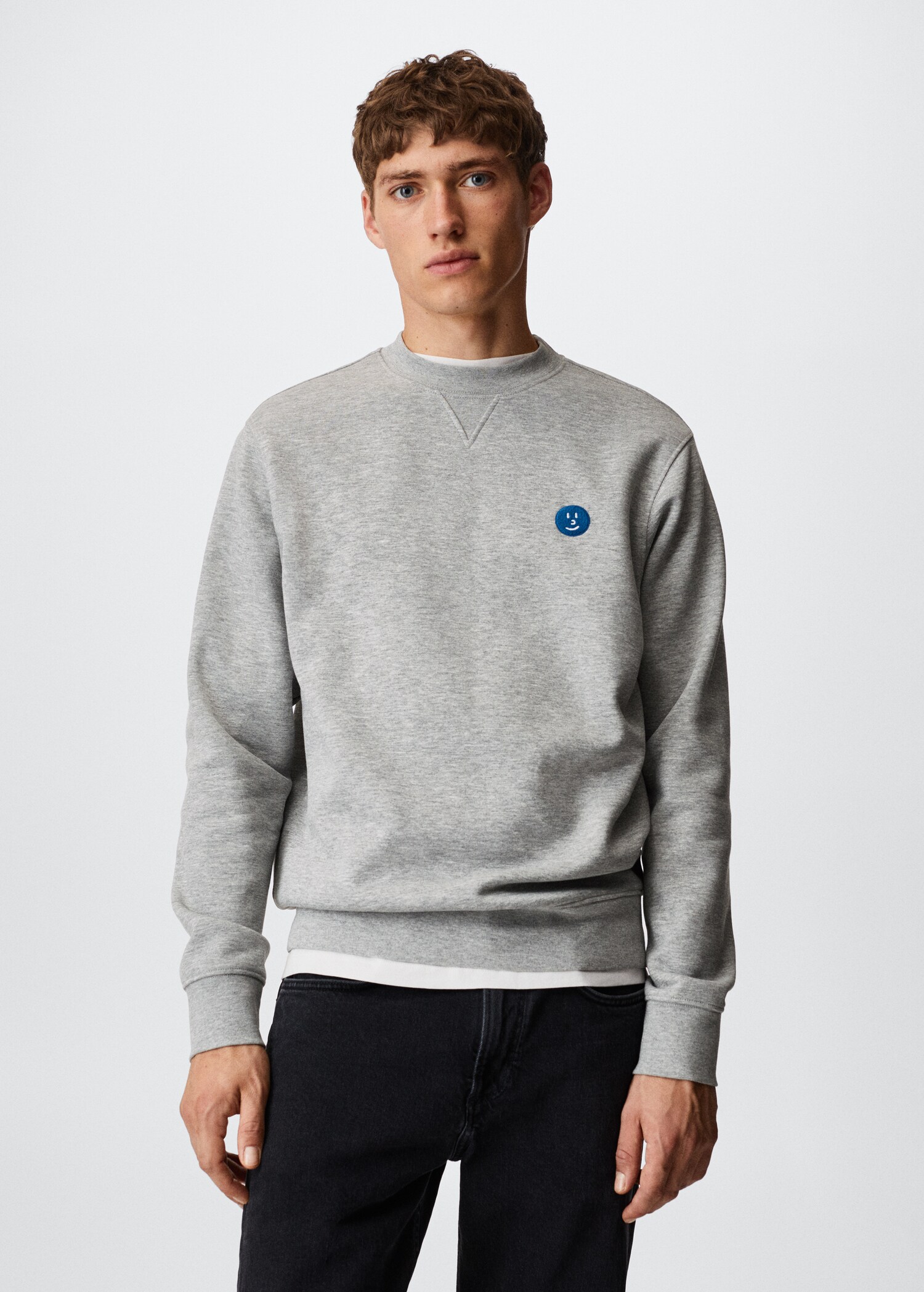 Embroidered cotton sweatshirt - Medium plane