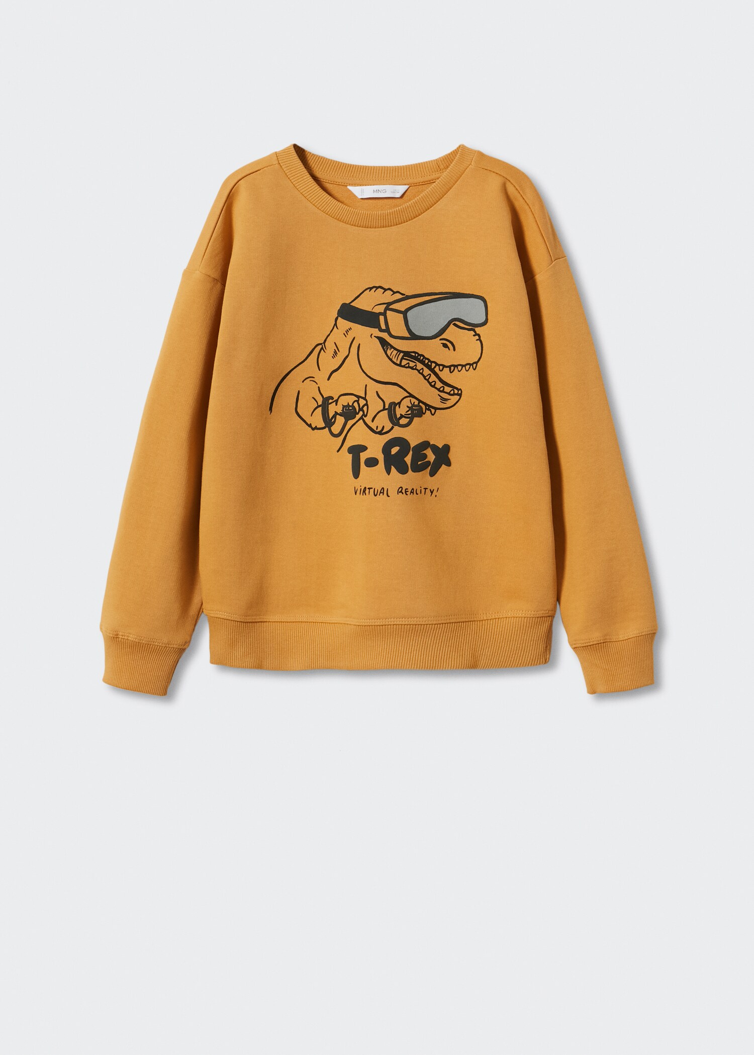 Cartoon cotton sweatshirt - Article without model