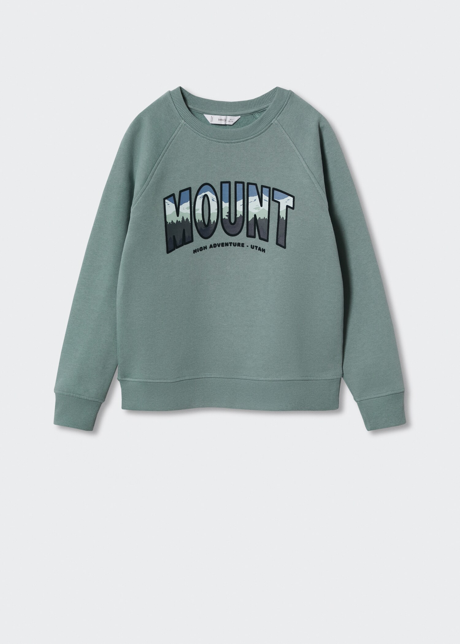 Printed cotton sweatshirt - Article without model