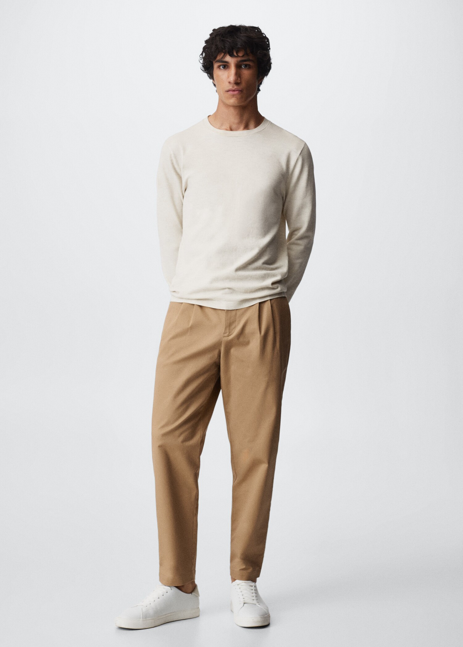 Regular-fit pleated trousers - General plane