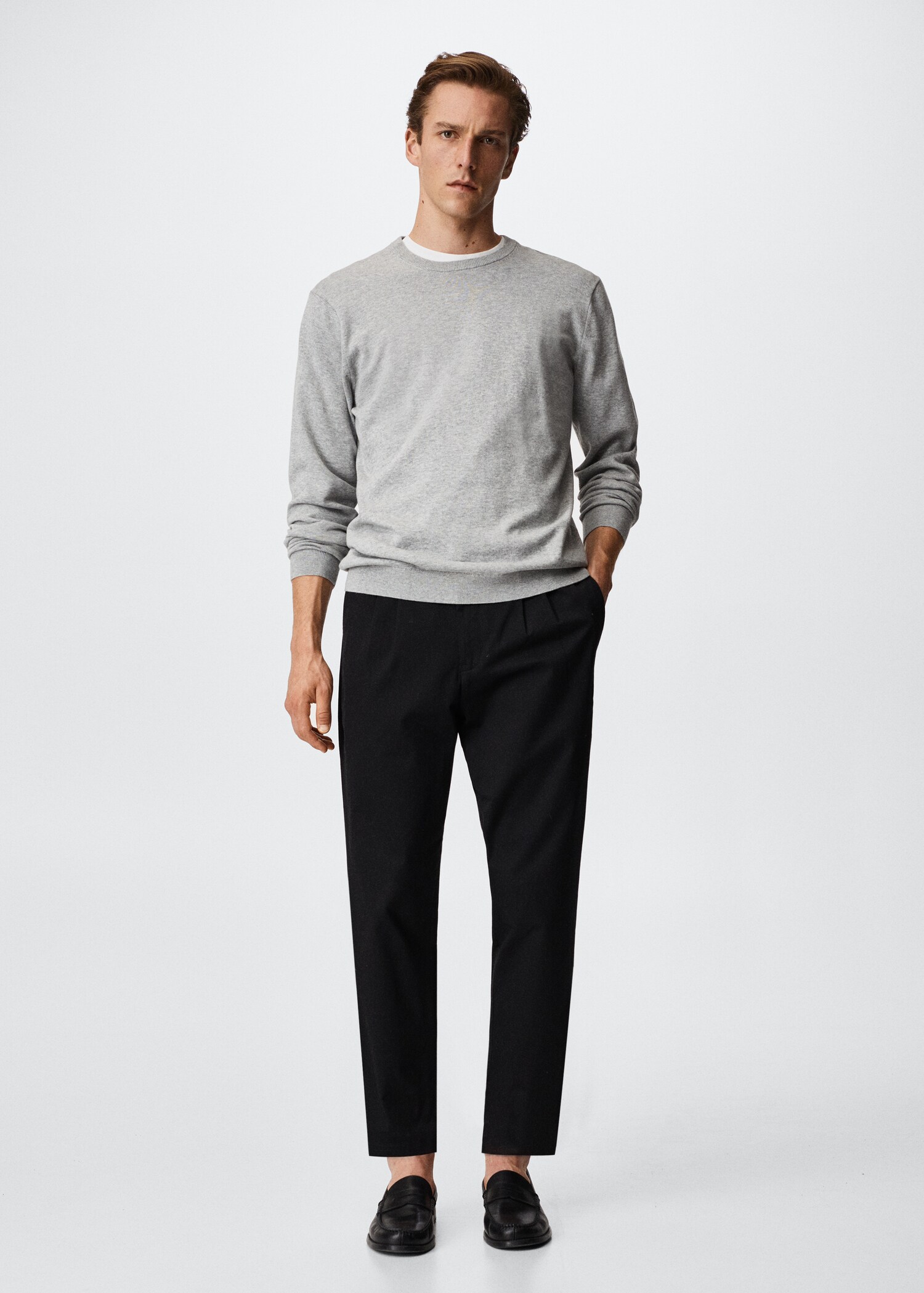 Regular-fit pleated trousers - General plane