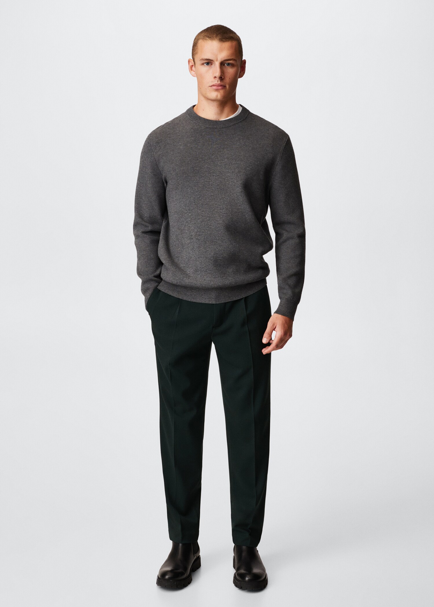 Cotton pleated trousers - General plane