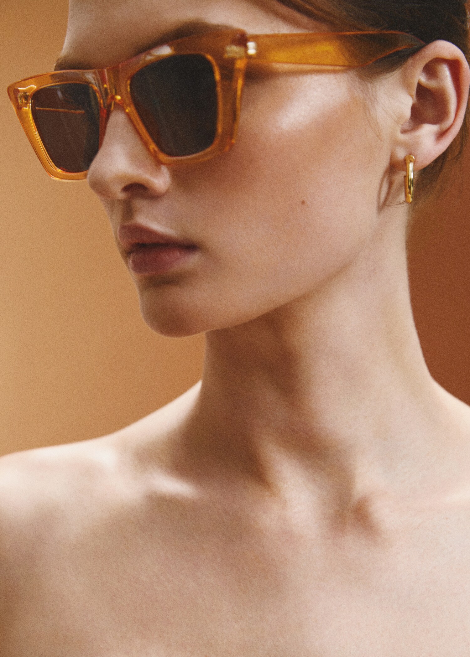Acetate frame sunglasses - General plane