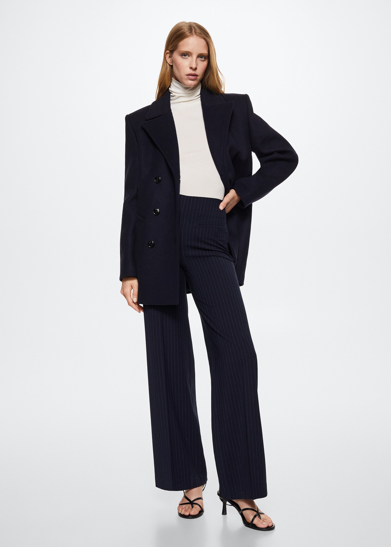 Chalk-stripe trousers - General plane