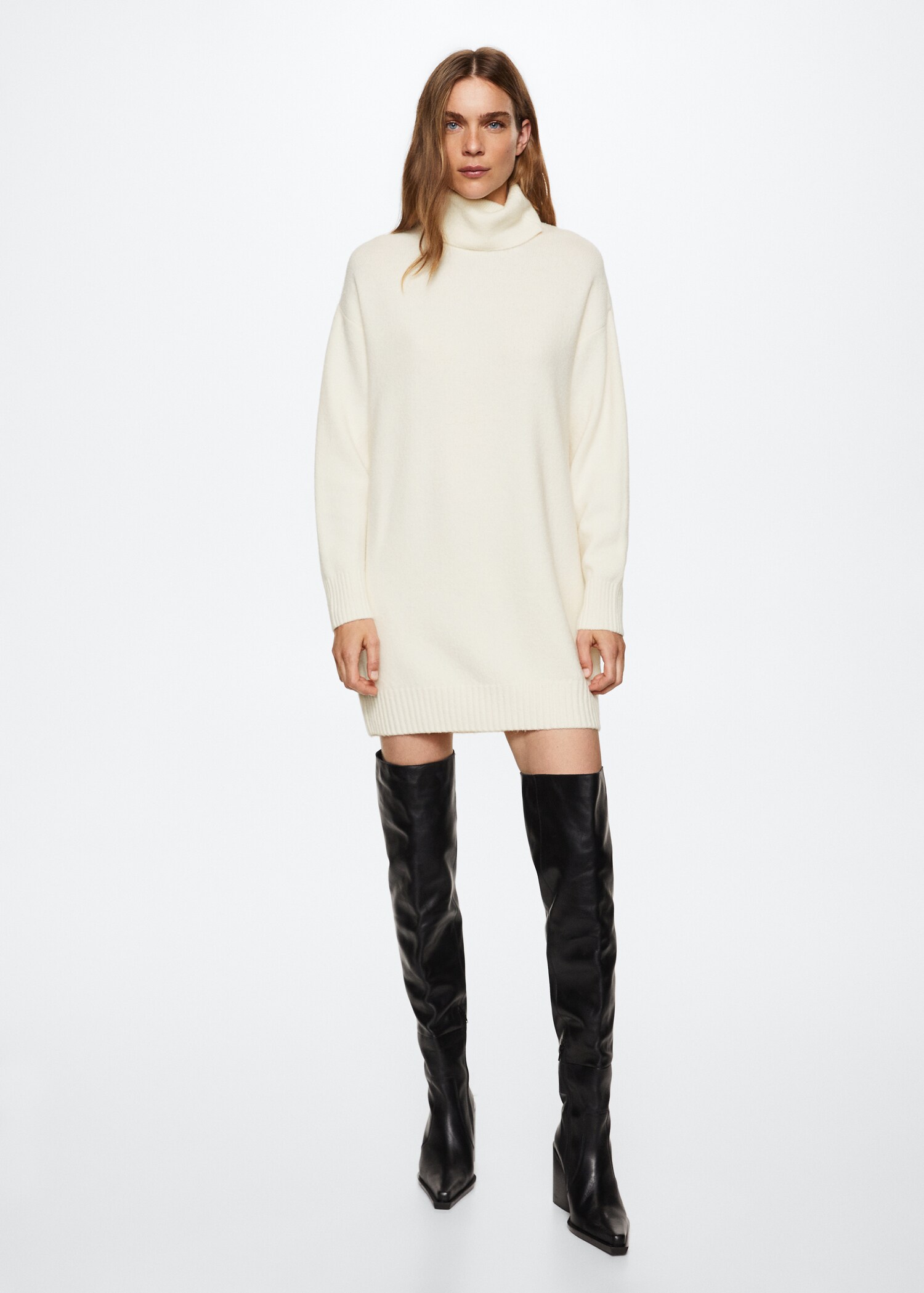 Turtle neck dress - General plane